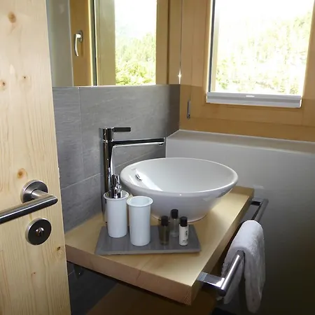 Ξενοδοχείο Roseg-gletscher 3*