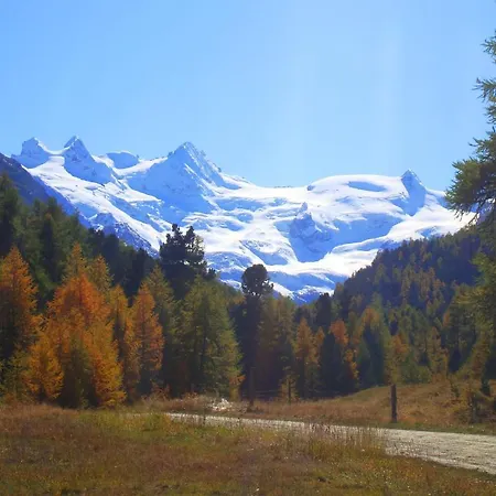 Roseg-gletscher 3* Pontresina