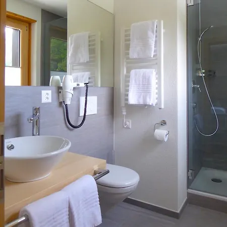 Roseg-gletscher Hotel 3*