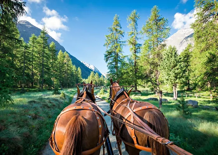 Hotel Roseg-gletscher Pontresina