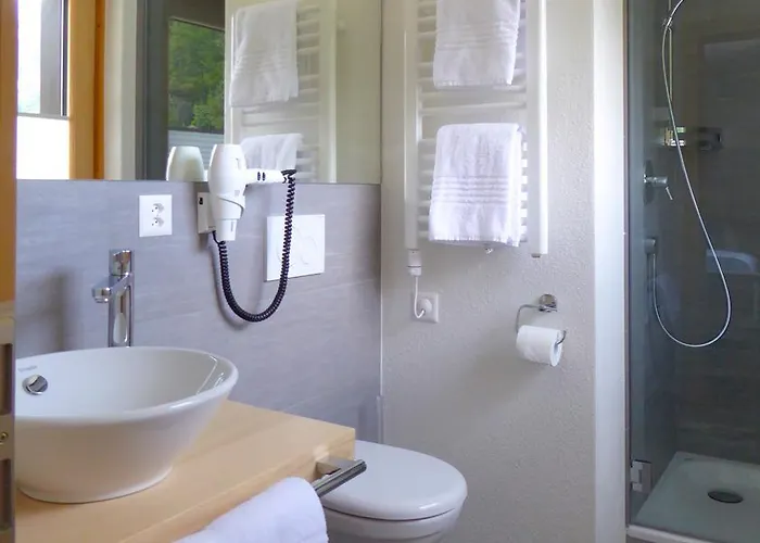 Roseg-gletscher Hotel 3*