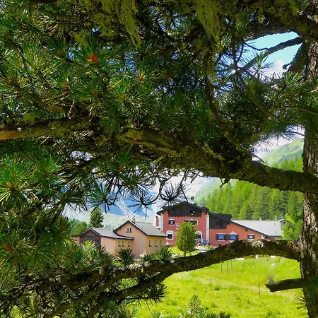 Roseg-gletscher 3* Pontresina