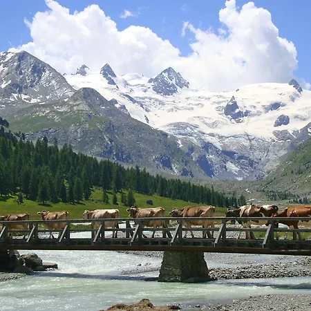 Roseg-gletscher Szálloda