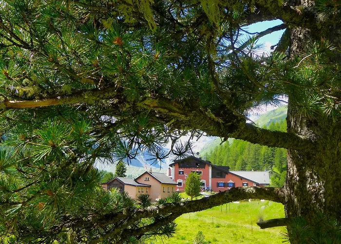 Roseg-gletscher 3* Pontresina