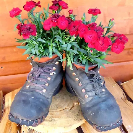 호텔 Roseg-gletscher 3*